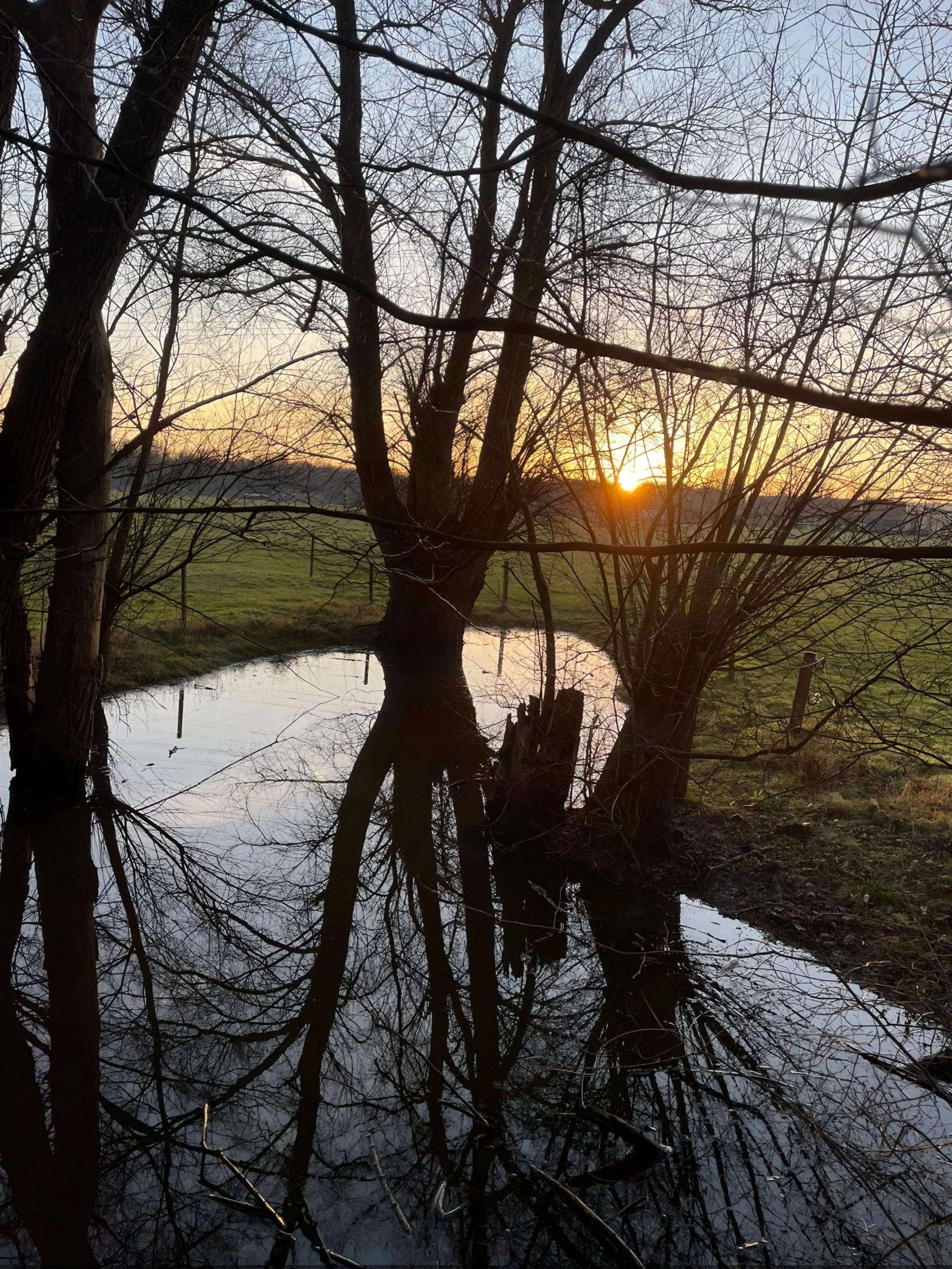 See und Weide – mystische Dämmerung